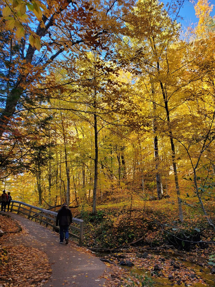 Munising, MI