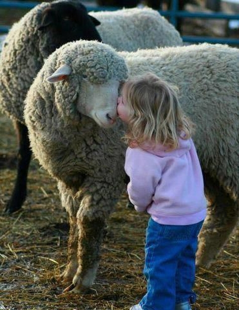 Child, Beak, Baby_&_Toddler_Clothing