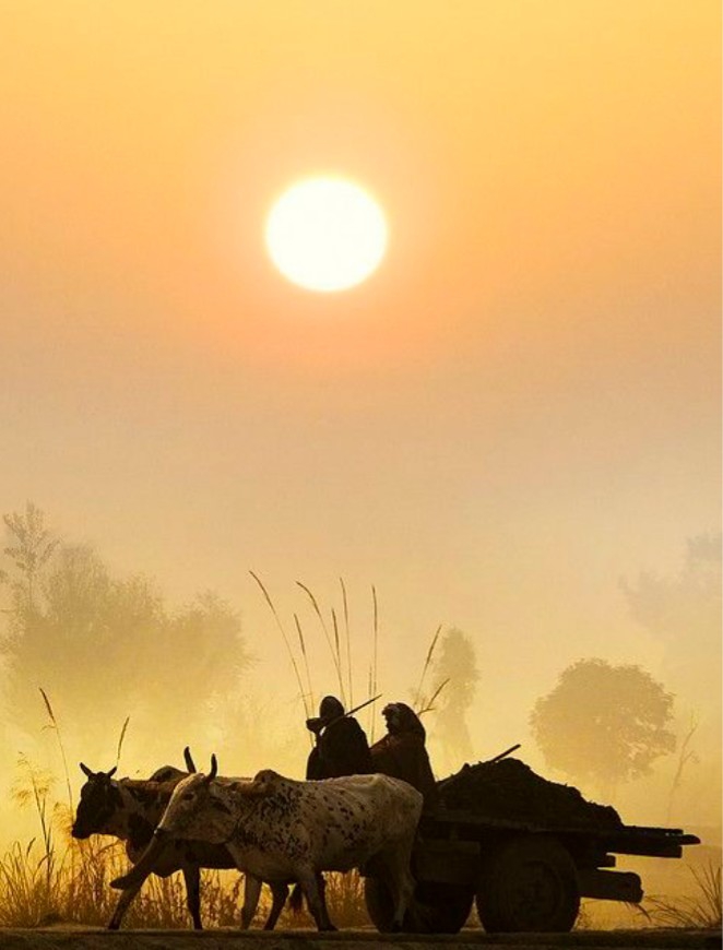 Village life