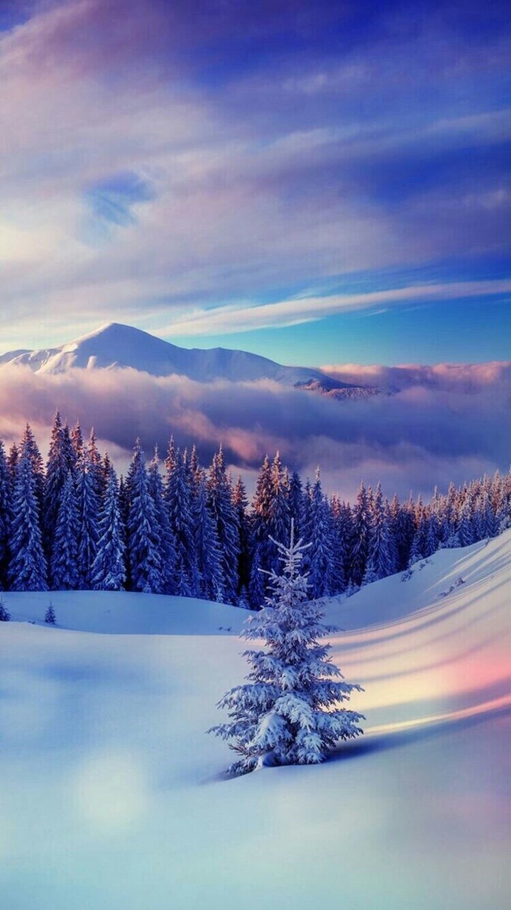 Mountain