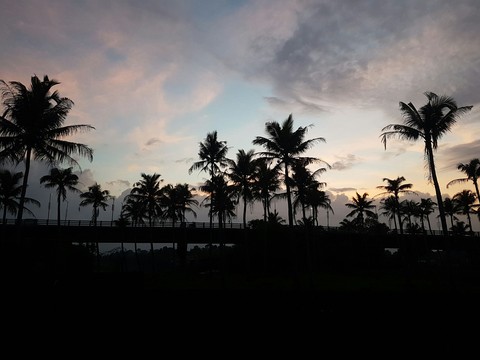 A Serene Silhouette