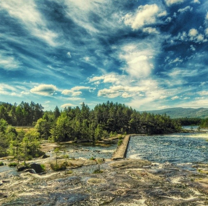 nature