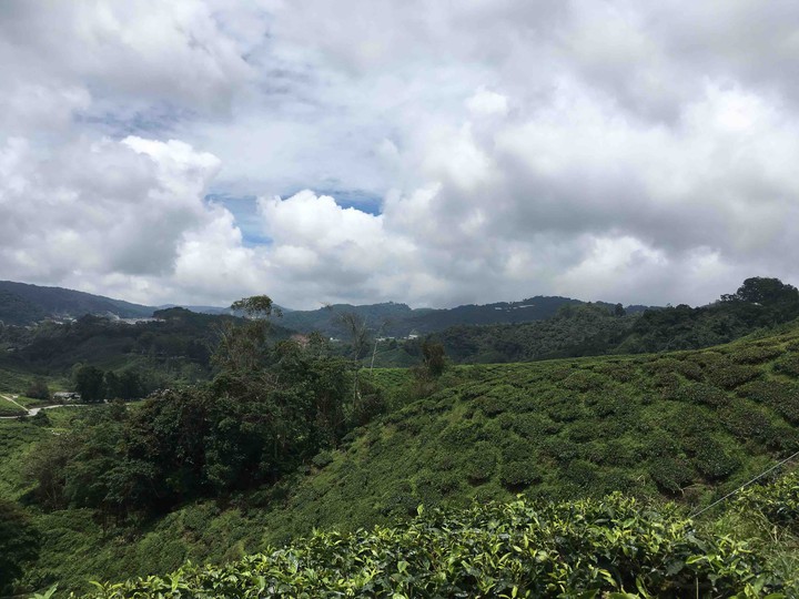 Amazing Malaysia!