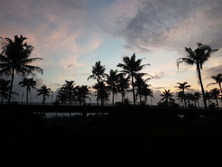 A Serene Silhouette