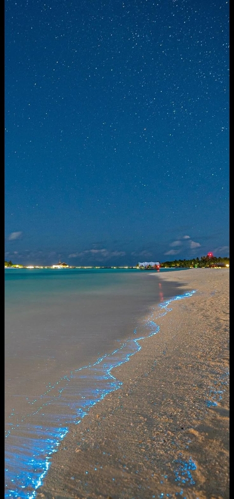 blue, beach壁紙
