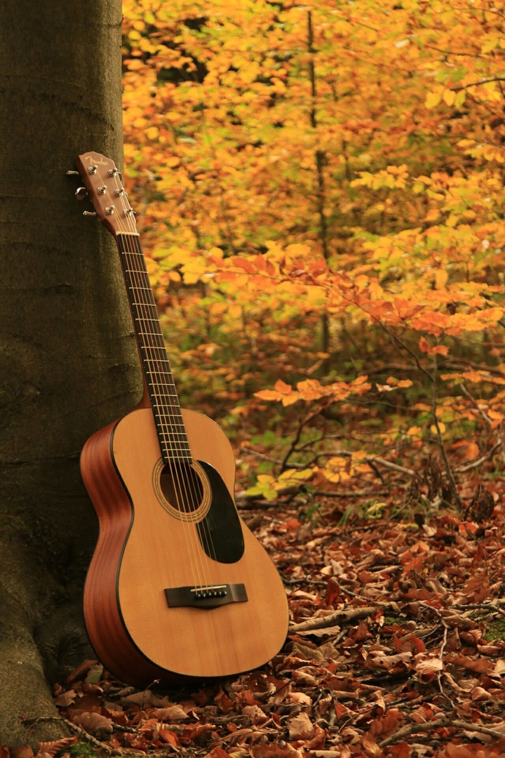 Autumn Sounding