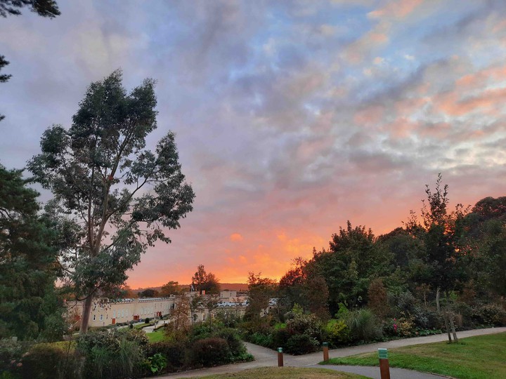 Saint Hill Sunset