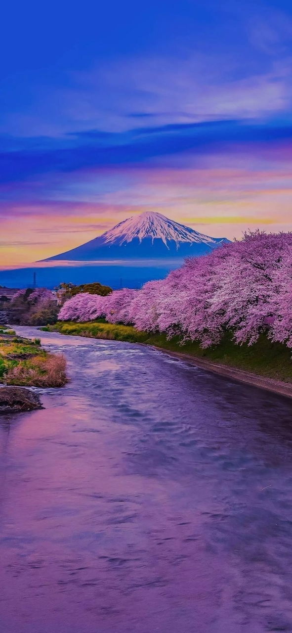 sfondi reflection, pink