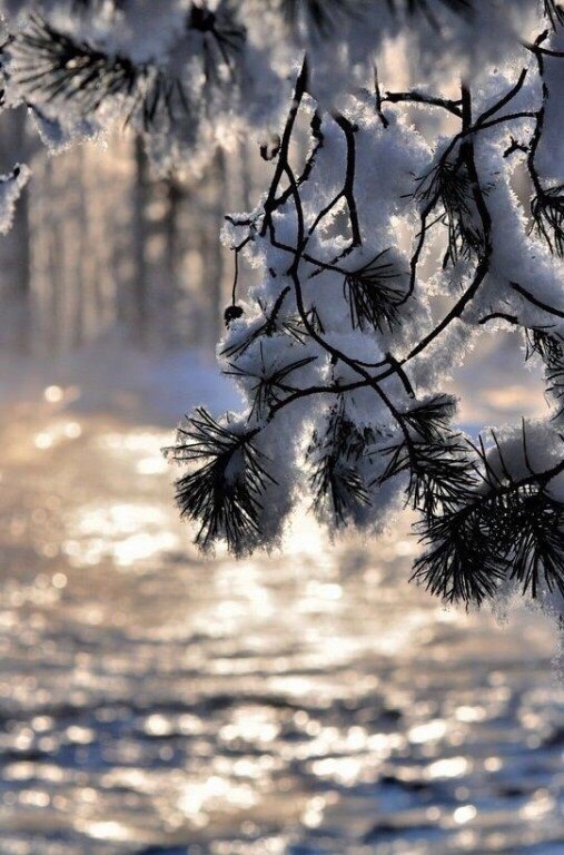 winter