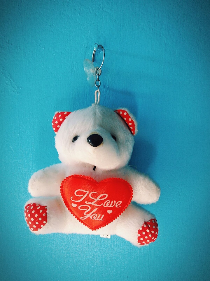 girls love teddies