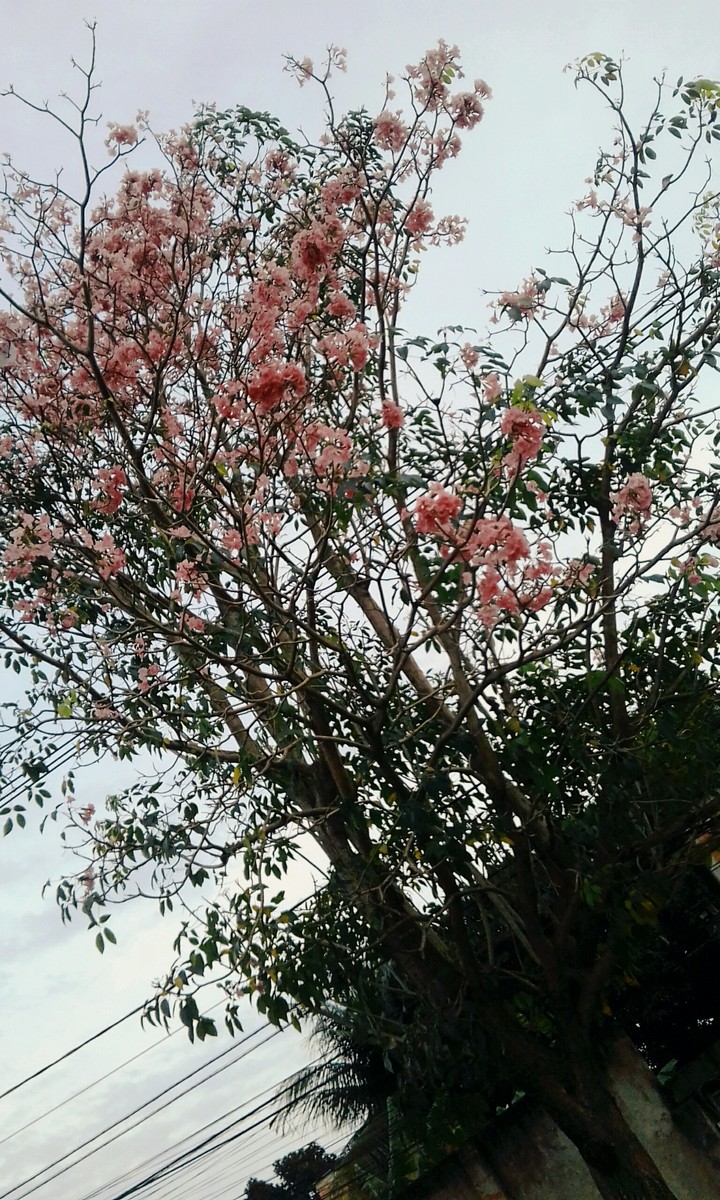 Inicio de la primavera