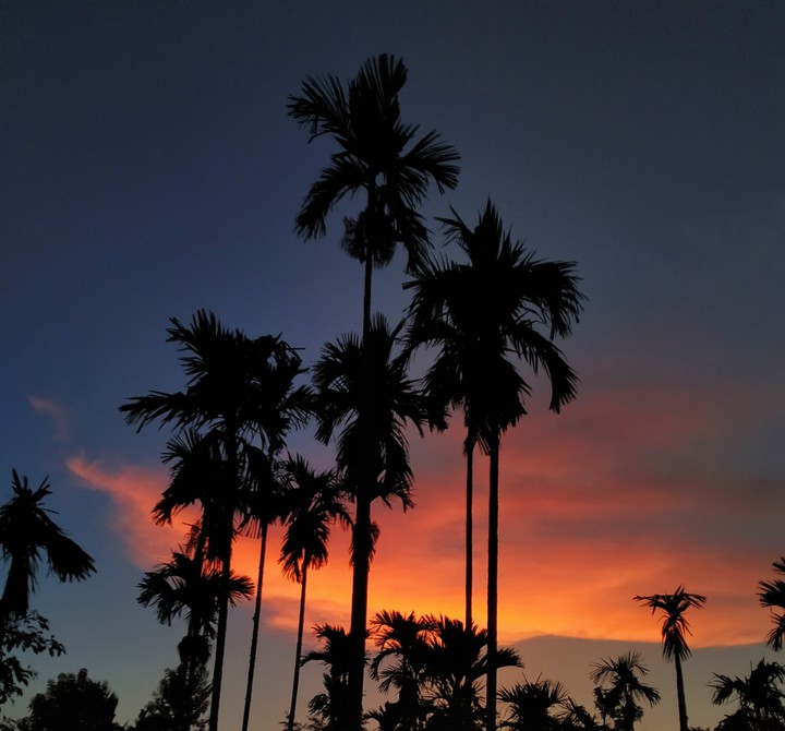 Nightfall