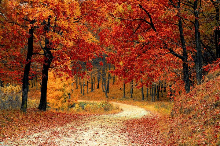 Autumn has Arrived