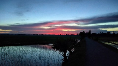 Sky