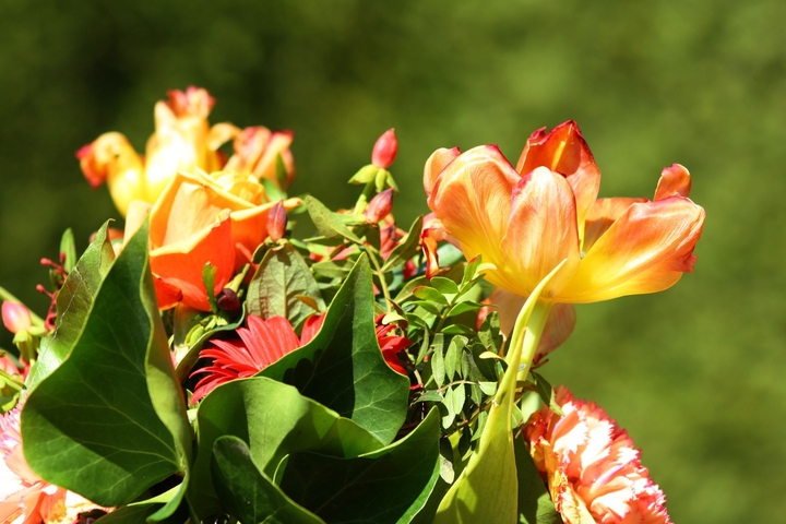 Frühling