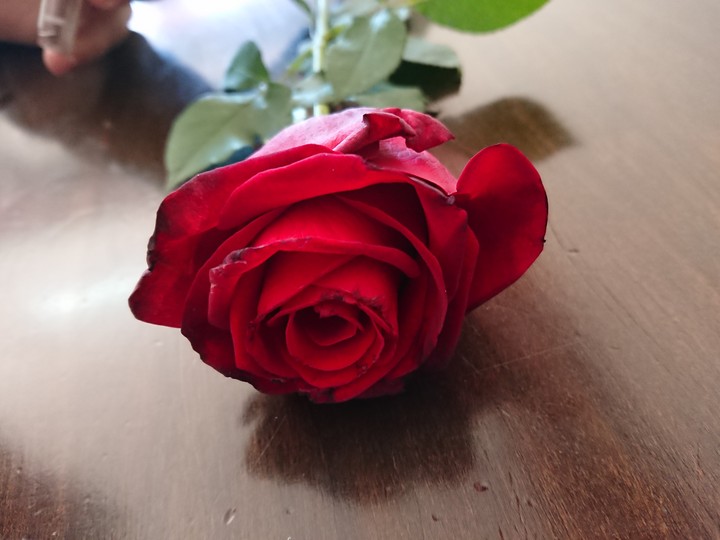 red love