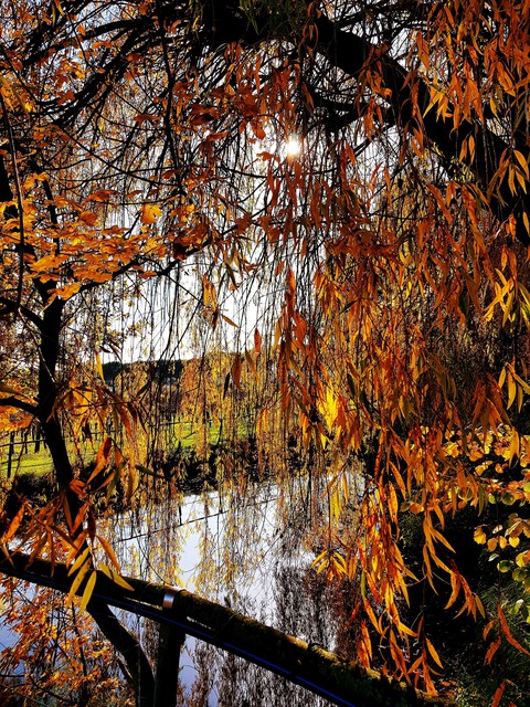 Autumn lake