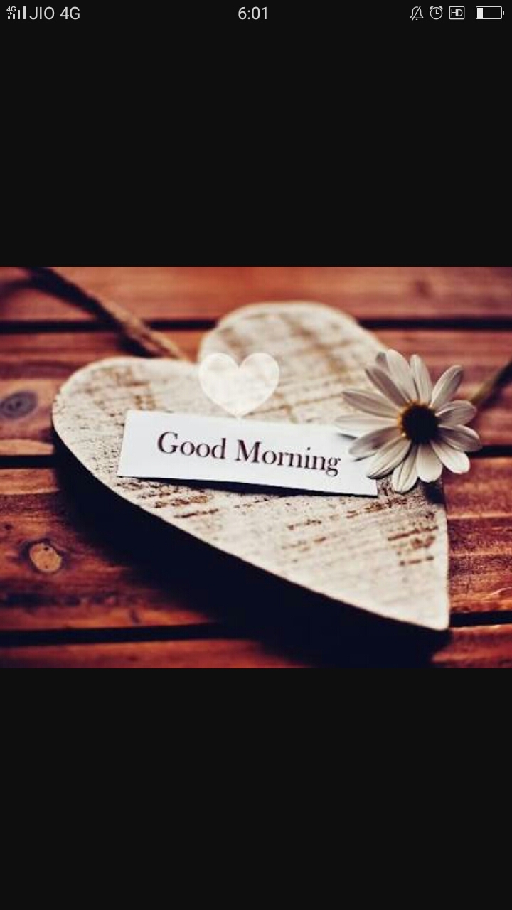 g m friends