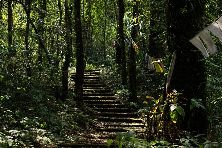 Stairway in Paradise
