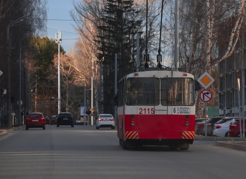 тапети tree, Bus