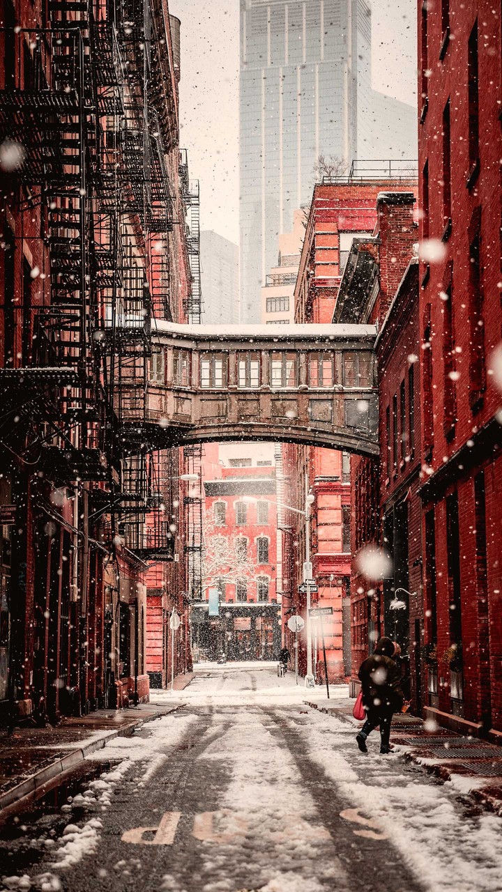 cuando cae la nieve