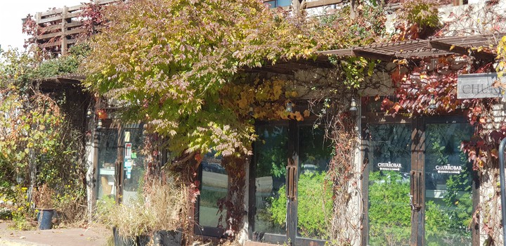 bohemianyjm cafe