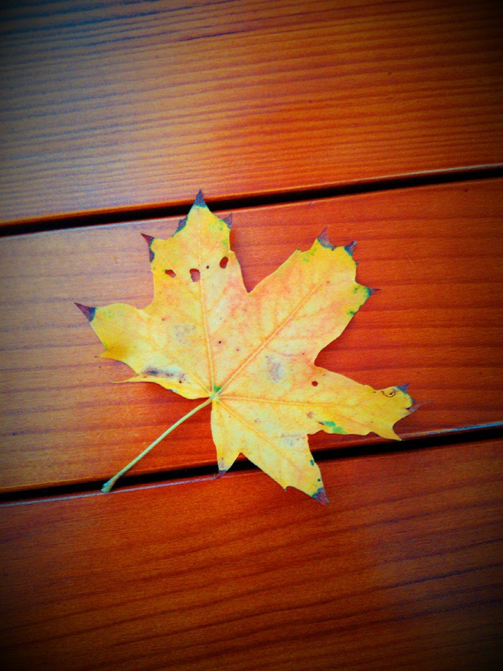 autumn is coming