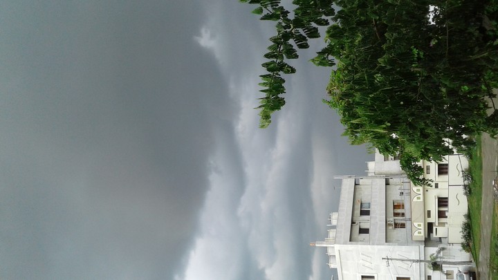 climate