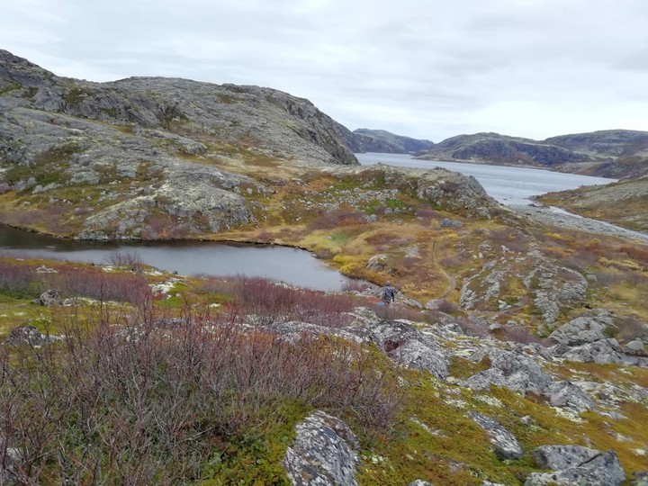 Barents Sea.