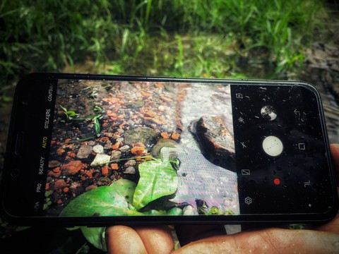 Pond Under Screen