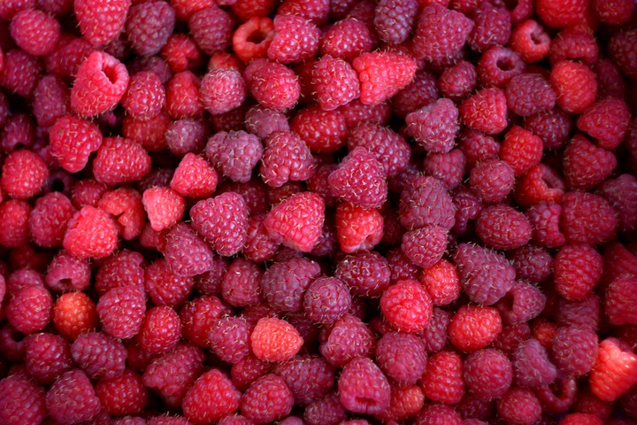 Raspberries