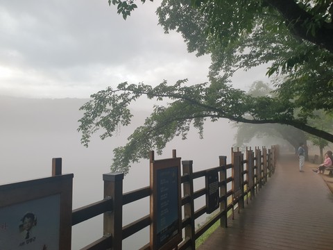 식물, 울타리 배경화면