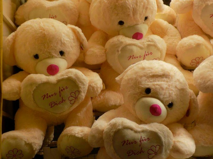 Teddy Bear