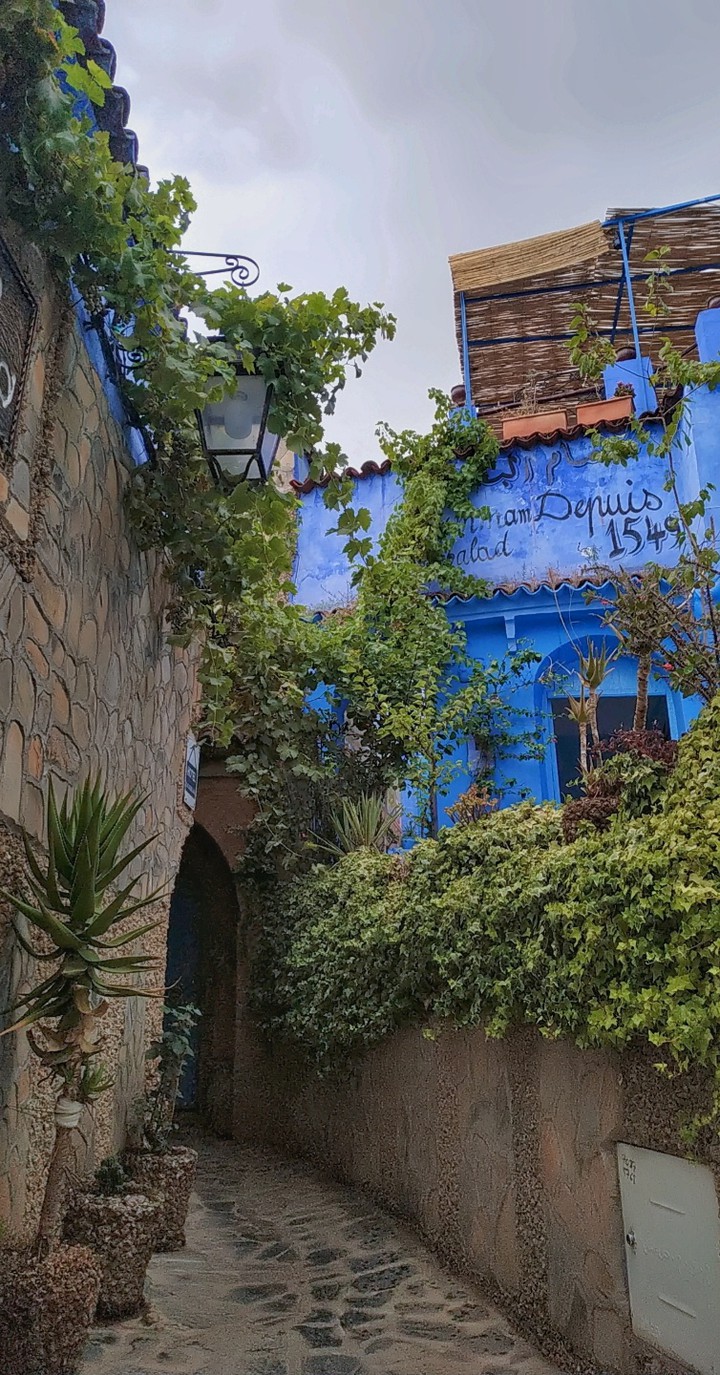 ruelle