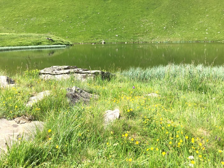 mountain lake
