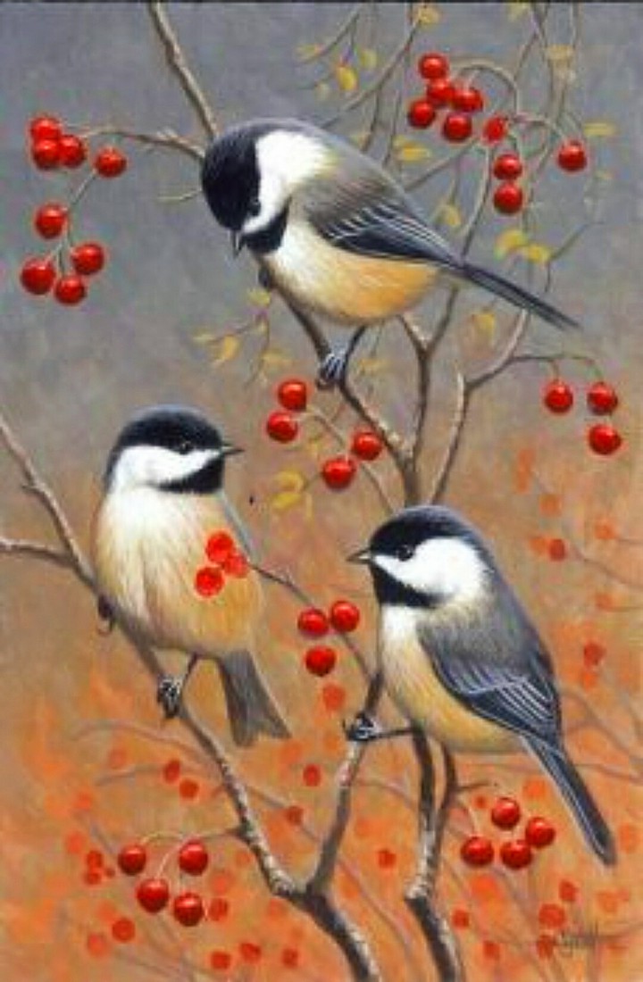 Nature