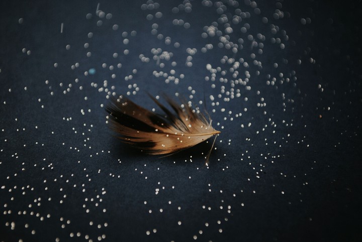 feather