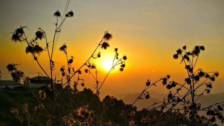 The Sunset Point