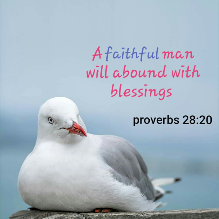 biblevers