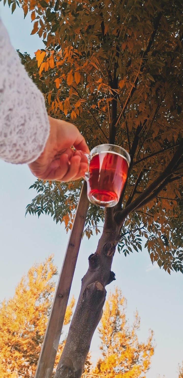 tea