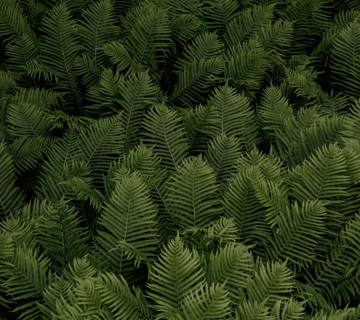Greennery