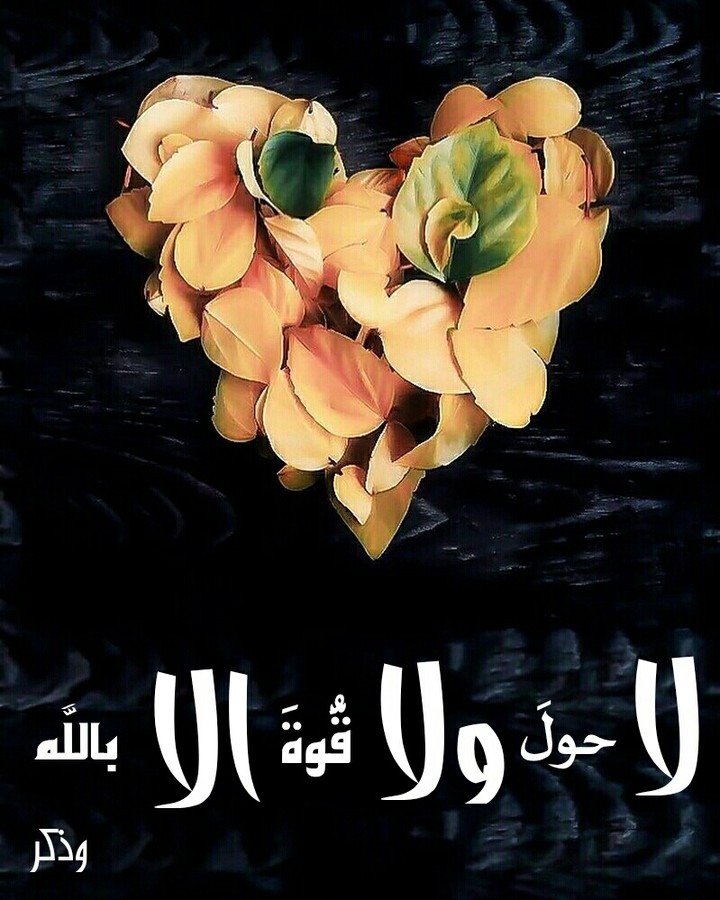 لا حول ولا قوة الا بالله