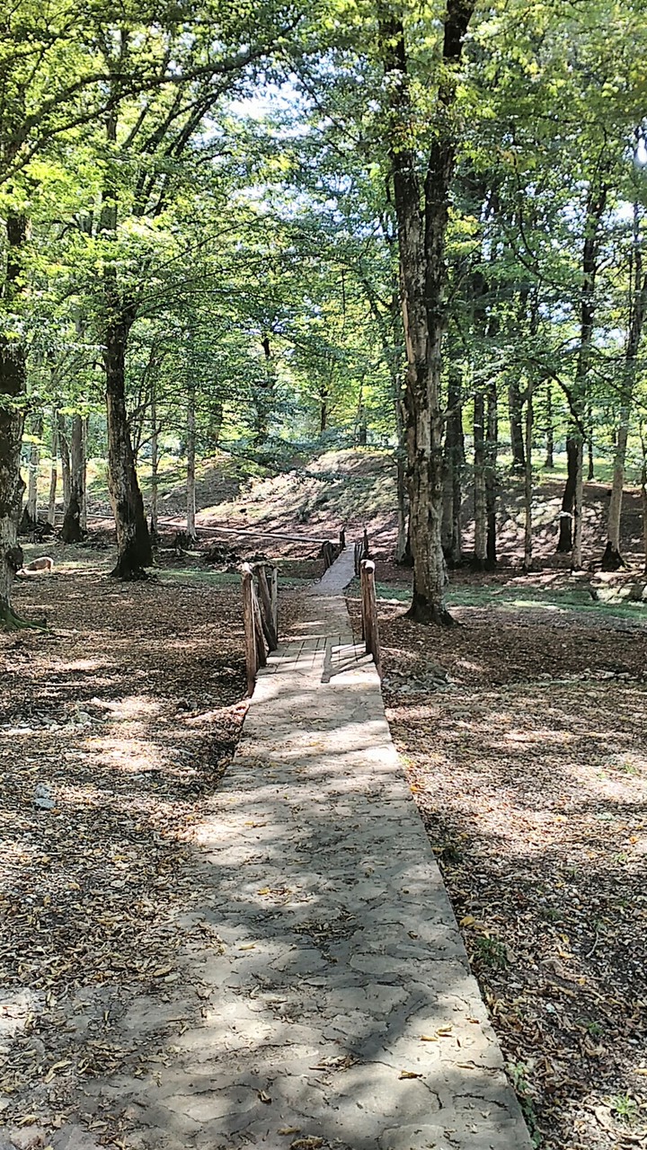 little bridge