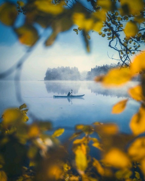 Life is a dream