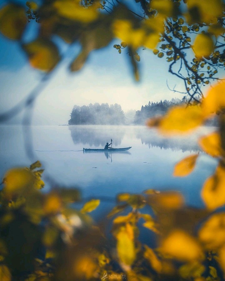 Life is a dream