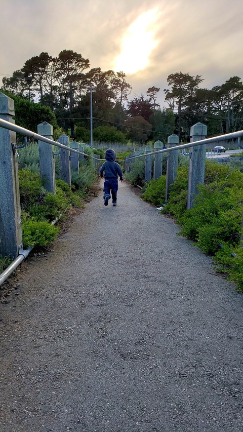 down the path