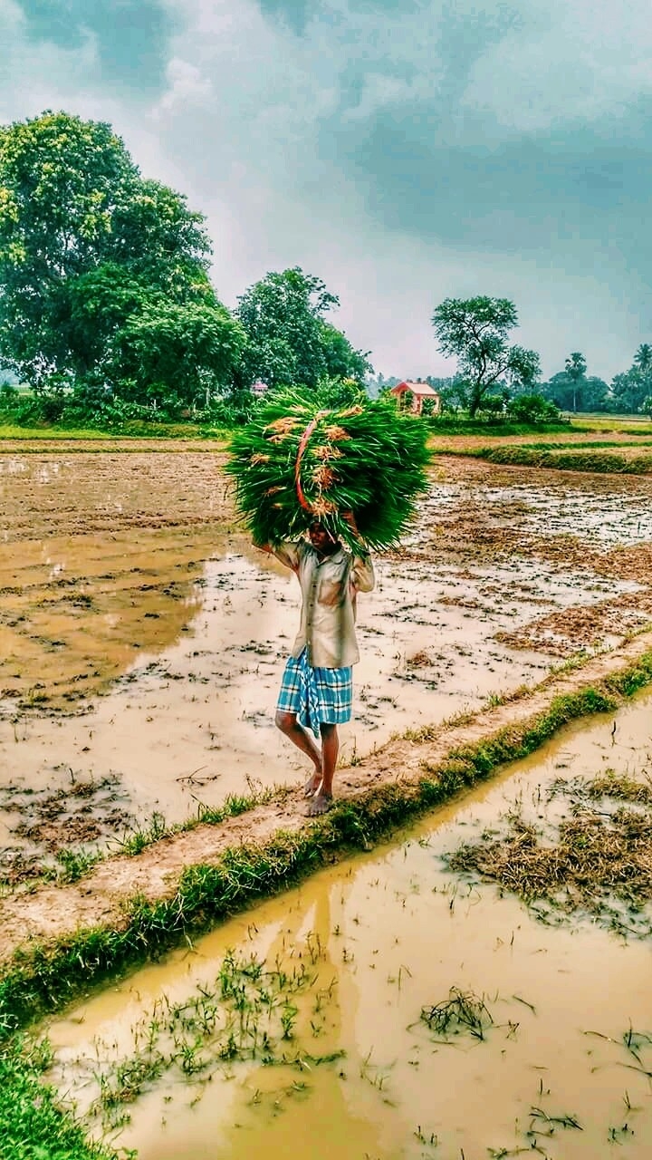 Farmer