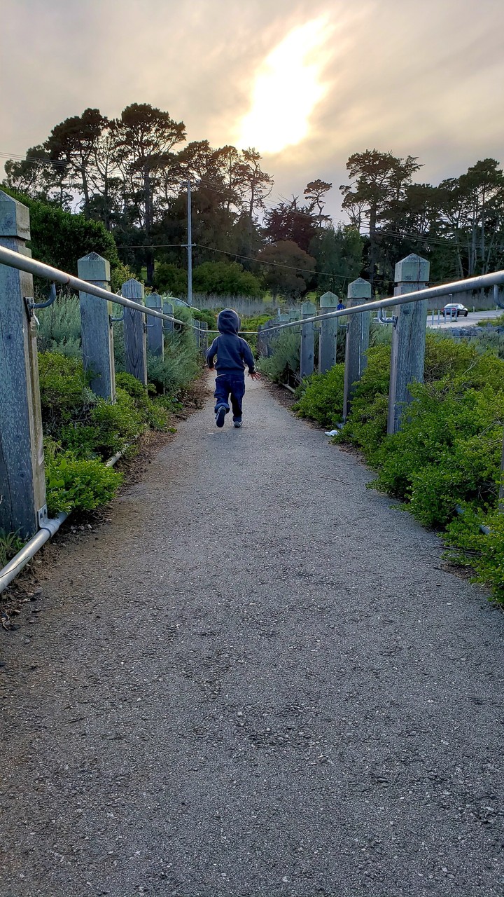 down the path