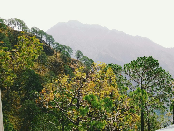 Kashmir