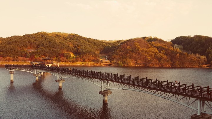 월령교
